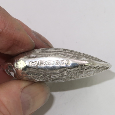 Solid silver fossil Pseudopecten acuticosta showing hallmarks